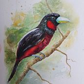 My project for course: Artistic Watercolor Techniques for Illustrating Birds. Een project van Traditionele illustratie, Aquarelschilderen, Realistische tekening y Naturalistische illustratie van lucey_porch - 07.11.2022
