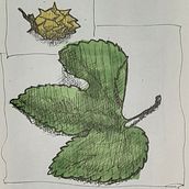 My project for course: Sketchbooking for Beginners: Learn to Draw Your Surroundings. Traditional illustration, Sketching, Creativit, Drawing, and Sketchbook project by Arnaud De - 11.10.2022