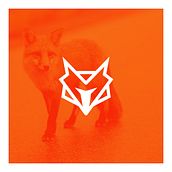 Fox Racing: Logo Design - From Concept to Presentation. Design, Br, ing, Identit, Graphic Design, and Logo Design project by Martin Roberts - 11.11.2022