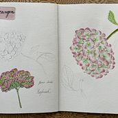 My project for course: Botanical Watercolor Sketchbook Ein Projekt aus dem Bereich Traditionelle Illustration, Aquarellmalerei, Botanische Illustration und Sketchbook von Lana - 12.11.2022