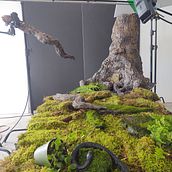 Angry Orchard Tree Ein Projekt aus dem Bereich Skulptur, Studiofotografie und Werbung von rtcarlson2014 - 12.11.2022