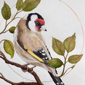 Mein Abschlussprojekt für den Kurs: Filigrane Aquarellmalerei mit Metallic-Akzenten. Traditional illustration, Painting, Watercolor Painting, Botanical Illustration, Naturalistic Illustration, and Decorative Painting project by Gabi Hörsting - 11.12.2022
