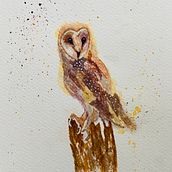 My project for course: Artistic Watercolor Techniques for Illustrating Birds. Traditional illustration, Watercolor Painting, Realistic Drawing, and Naturalistic Illustration project by bhaskarmajumder - 11.13.2022