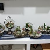 Camich_plants. Interior Design, L, scape Architecture, Decoration, DIY, Floral, Plant Design, and Design project by Mónica Pedraza - 11.14.2022