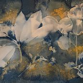 My project for course: Cyanotype: Printing with Light. Arts, Crafts, Fine Arts, Printing, DIY, and Film Photograph project by jacqui2000 - 01.10.2022