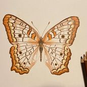 Ilustración Científica y Naturalista. Un projet de Illustration traditionnelle de marzuluaga1493 - 14.11.2022