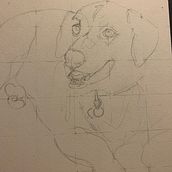 My project for course: Expressive Animal Portraits in Watercolor  "Jake". Traditional illustration, Watercolor Painting, Realistic Drawing, and Naturalistic Illustration project by Michele Bennett - 11.14.2022