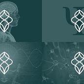 Brand Identity - Logotype Imerse Psicologia. Un progetto di Br, ing, Br, identit, Design, Pubblicità, Direzione artistica e Graphic design di Gustavo Fagundes - 16.11.2022