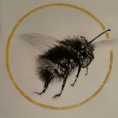 My project on the bee. I applied glitter instead of goldleaf.. Traditional illustration, Painting, and Naturalistic Illustration project by marc matoul - 11.17.2022