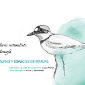 Cuaderno naturalista Moncofa. Dunas y especies de marjal. Laura Franch. Prototipo. Todos los derechos reservados.. Un projet de Illustration traditionnelle, Conception éditoriale, Dessin au cra, on, Illustration numérique, Aquarelle, Dessin réaliste , et Dessin artistique de Laura Franch - 07.07.2022