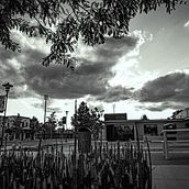 My project for course: Beginner’s Photography: Basic Camera Use and Theory. Photograph, Digital Photograph, and Photographic Composition project by Erick Richards - 11.17.2022