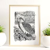 My project for course: Dip Pen and Ink Illustration: Capturing The Natural World. Sketching, Drawing, Artistic Drawing, Sketchbook, Ink Illustration, and Naturalistic Illustration project by kelfro - 03.31.2022