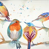 My project for course: Artistic Watercolor Techniques for Illustrating Birds . % Thilini Ranaweera tarafından hazırlanan Geleneksel illüstras, on, Sulubo, a Resim, Gerçekçi Çizim, Doğalcı İllüstras, Ve on projesi - 11.18.2022