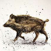 Wild Zwijn. Ilustração tradicional projeto de bertineke - 20.11.2022