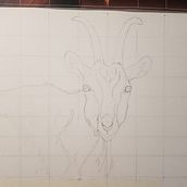 Mi proyecto del curso: Retratos de cabra en acuarela. Ilustração tradicional, Pintura em aquarela, Desenho realista e Ilustração naturalista projeto de Julia Serrano Pulido - 19.11.2022