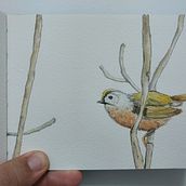 Meu projeto do curso: Ilustração da natureza: aquarela em positivo e negativo. Traditional illustration, Fine Arts, Painting, Drawing, Watercolor Painting, Botanical Illustration, and Naturalistic Illustration project by Flávio Bartoli - 11.20.2022