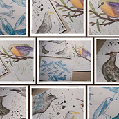 Mi proyecto del curso: Naturaleza ilustrada: una exploración creativa. Un progetto di Illustrazione tradizionale, Pittura, Disegno, Pittura ad acquerello, Illustrazione con inchiostro e Illustrazione naturalistica di Marcela Salas - 20.11.2022