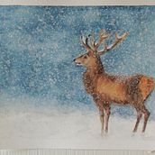 Inverno Ein Projekt aus dem Bereich Traditionelle Illustration von mcristina_monti - 22.11.2022