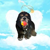 RIP 🐾. Traditional illustration project by Hector Rodriguez - 11.20.2022