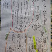 Riassunto del corso di public speaking di Dasha Dollar Smirnova Ein Projekt aus dem Bereich Traditionelle Illustration und Kommunikation von crisus_59 - 23.11.2022