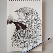 Animals drawings with different media. Pencil Drawing, Drawing, Colored Pencil Drawing & Ink Illustration project by Lara Chiari - 11.23.2022