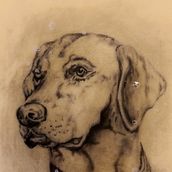 Mi proyecto del curso: Tatuaje para principiantes. Tattoo Design project by tdeteran - 11.23.2022