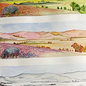 I have been working on natural aspects of the world around my area. Traditional illustration, and Watercolor Painting project by Roger Neilson - 11.23.2022