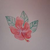 hibiscus et laurier blanc. Traditional illustration project by Diane - 11.15.2022