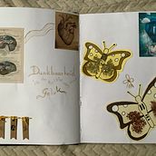 Mijn project van de cursus: Het schetsboek: ontdek je creatieve proces. Traditional illustration, Sketching, Creativit, Drawing, Sketchbook, Watercolor Painting, Children's Illustration, and Gouache Painting project by svandenbosch55 - 11.25.2022
