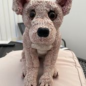 My project for course: Knitting Realistic Stuffed Animals: Make a Puppy from Yarn. Knitting, Fiber Arts, Textile Design, and DIY project by PipJo Ivy Lane - 11.27.2022