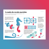 The Seahorse’s Tail - A cauda do cavalo marinho. Graphic Design, Information Design, Interactive Design & Infographics project by Cristian Arantes - 11.25.2022