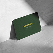 Aplicação da logotipo (Capitú Lares)  em cartão de visita . Design project by marcos_25db - 11.28.2022