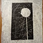 Diente de león. Collage, and Engraving project by Alejandra Toro Echeverría - 11.29.2022