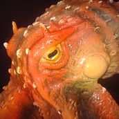 Mi proyecto del curso: Octopus. Un progetto di Design e DIY di Cesar Cervero - 24.11.2022