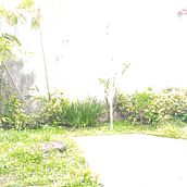 Mi proyecto del curso: Diseño de espacios verdes para tu casa. Un projet de Pa, sagisme, Art floral et végétal , et Design d'espace de atanay ramirez - 11.11.2022