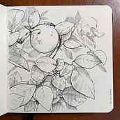 My project for course: Illustrated Diary: Fill Your Sketchbook with Experiences. Traditional illustration, Sketching, Drawing, Sketchbook & Ink Illustration project by not_important - 12.02.2022
