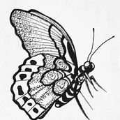 Butterflies. Traditional illustration project by charlene_morinoca - 07.28.2022