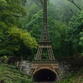 Selva Eifel. Photograph, Post-production, Photo Retouching, Digital Photograph, Photographic Composition, and Photomontage project by patomonsalve - 12.03.2022