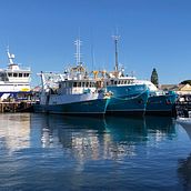 Trawlers in Freo. Traditional illustration project by Andrew Kirkland - 12.04.2022
