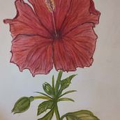 My project for course: Botanical Illustration with Watercolors. Traditional illustration, Fine Arts, Painting, Drawing, Watercolor Painting, and Botanical Illustration project by Virág Ildiko Erdei - 11.21.2022