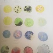 Mi proyecto del curso: Técnicas modernas de acuarela. Traditional illustration, Painting, and Watercolor Painting project by linamapdiaz - 12.04.2022