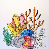 coral reef. Watercolor Painting & Ink Illustration project by Ale bontempo - 12.06.2022