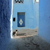 My final project!. Un progetto di Fotografia, Fotografia all'aperto, Fotografia lifest e le di Nicola Guidi - 07.12.2022