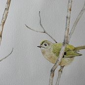 Watercolour Bird - Ruler. Watercolor Painting project by Suzanne Pedler - 12.08.2022
