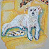 Coco y Mandarina. Mi proyecto del curso: Dibujo creativo con pasteles al óleo. Un proyecto de Ilustración tradicional, Bellas Artes, Dibujo a lápiz y Dibujo de Chus Rufino - 08.12.2022