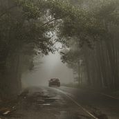 Misterios en Dark Lavender Woods . Writing, Creativit, Stor, telling, Narrative, Fiction Writing, and Creative Writing project by viviluc19 - 12.06.2022