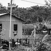 An immersion with native peoples of the Amazon (Brazil). Projekt z dziedziny Fotografia,  Fotografia plenerowa,  Fotografia lifest i le użytkownika Gabriela Sanches - 09.12.2022