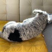 My project for course: Knitting Realistic Stuffed Animals: Make a Puppy from Yarn. Fiber Arts, DIY, Knitting, and Textile Design project by chylackj - 12.10.2022