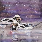 My project for course: Artistic Watercolor Techniques for Illustrating Birds. Traditional illustration, Watercolor Painting, Realistic Drawing, and Naturalistic Illustration project by Kim Ritthagen - 12.09.2022
