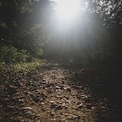 Il mio progetto del corso: Scrittura creativa per principianti: dai vita alla tua storia. Un proyecto de Escritura, Creatividad, Stor, telling, Narrativa y Escritura creativa de Vito Curlo - 11.12.2022